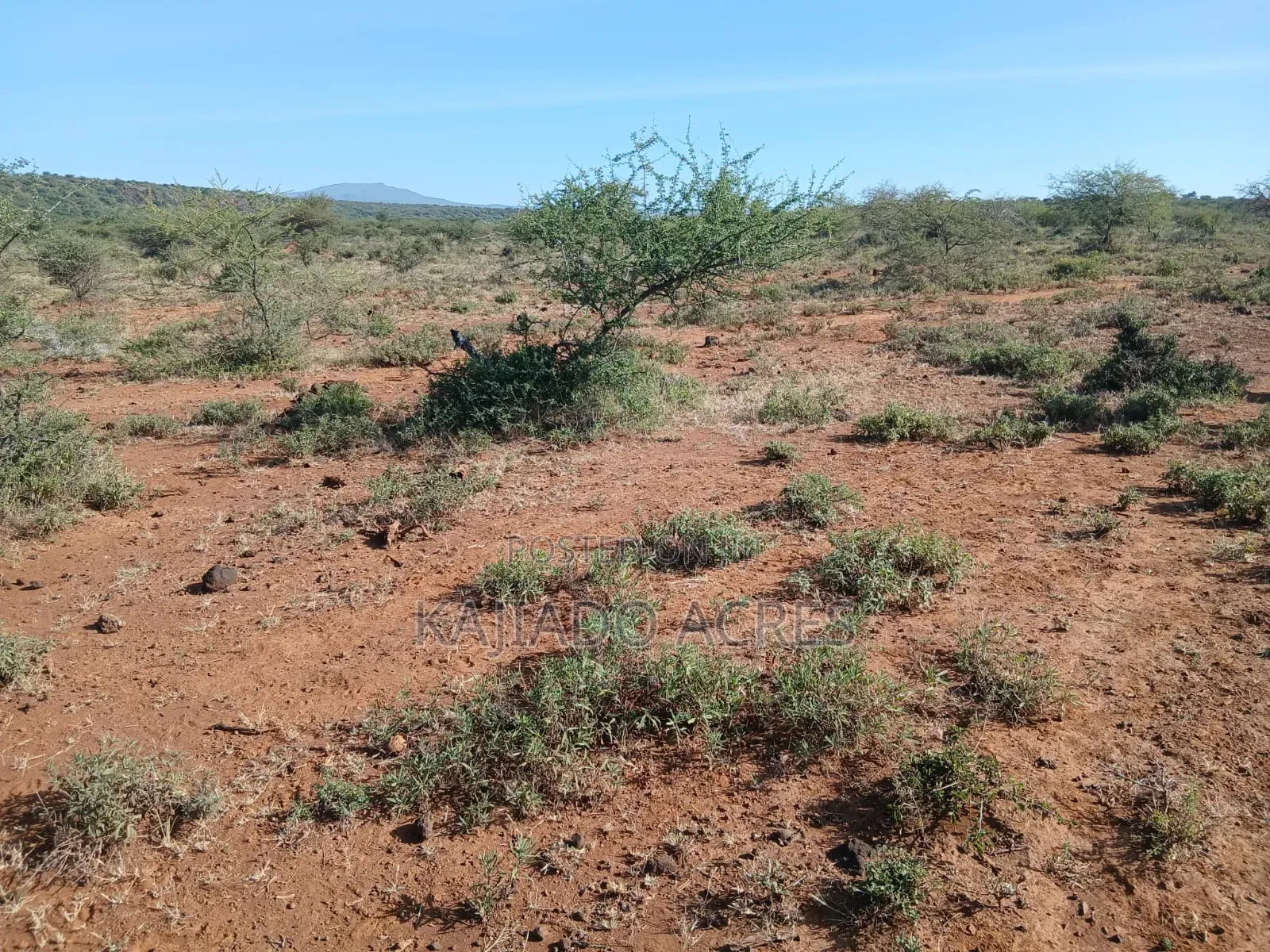 108 Acres Najile at Per Acre