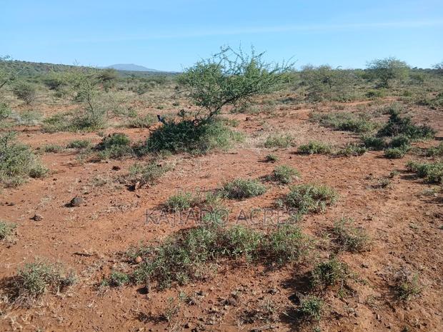108 Acres Najile at Per Acre - thumbnail 11