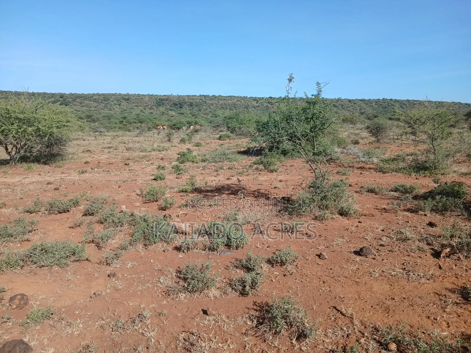 108 Acres Najile at Per Acre