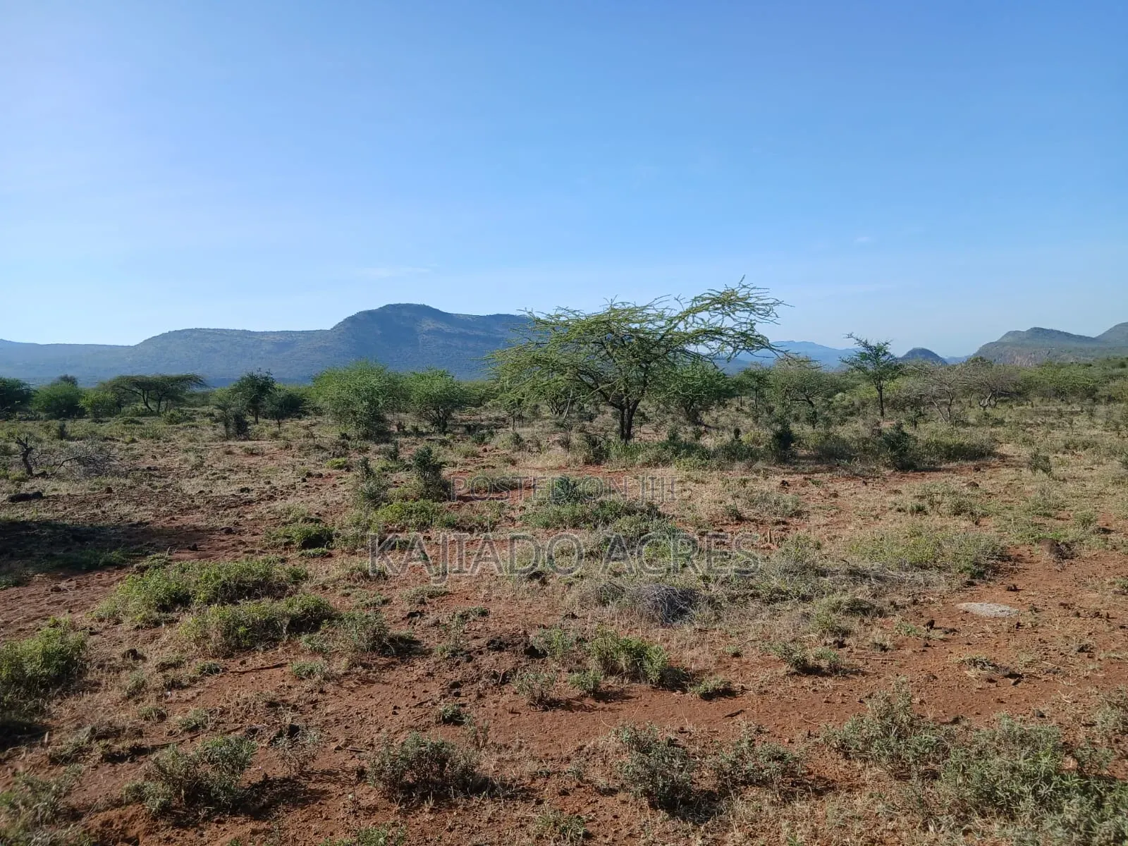 108 Acres Najile at Per Acre