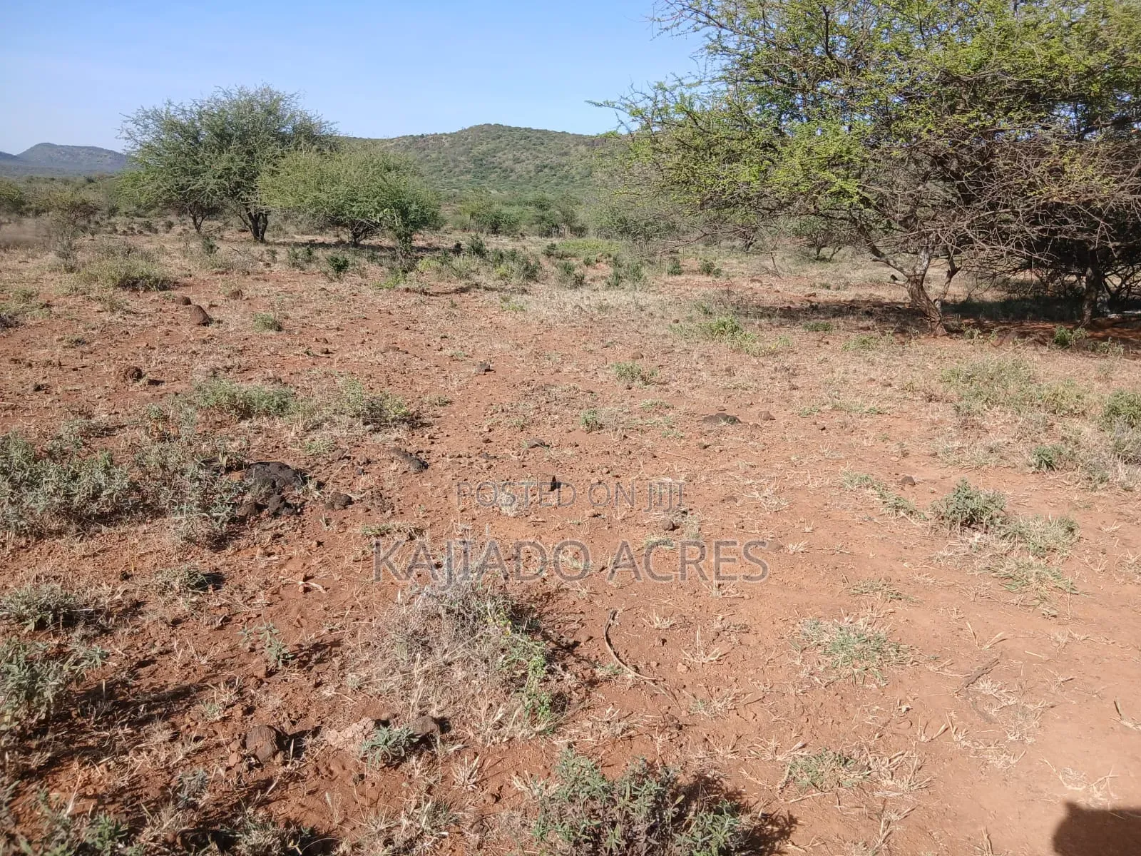 108 Acres Najile at Per Acre