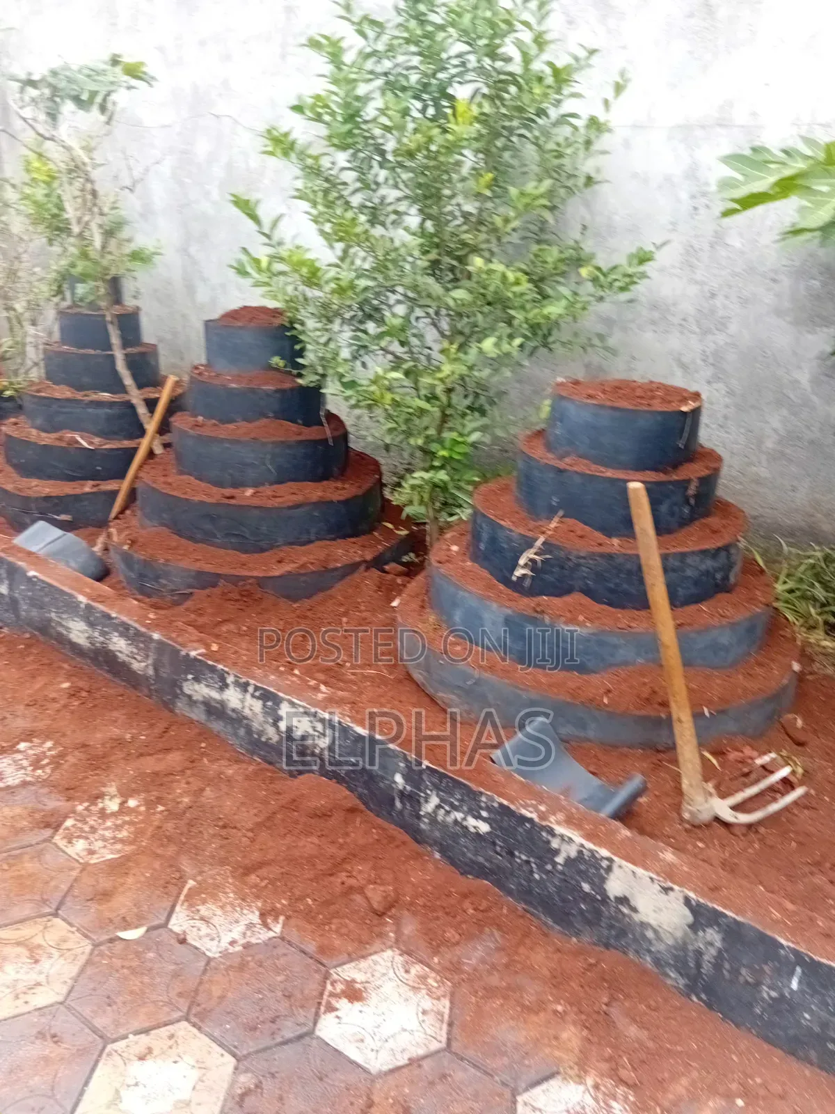 Vertical Garden