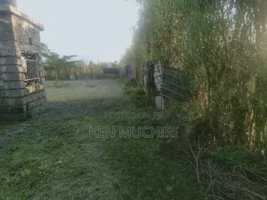 120 X 100 Plot Ruai With a Three Bedroom House 