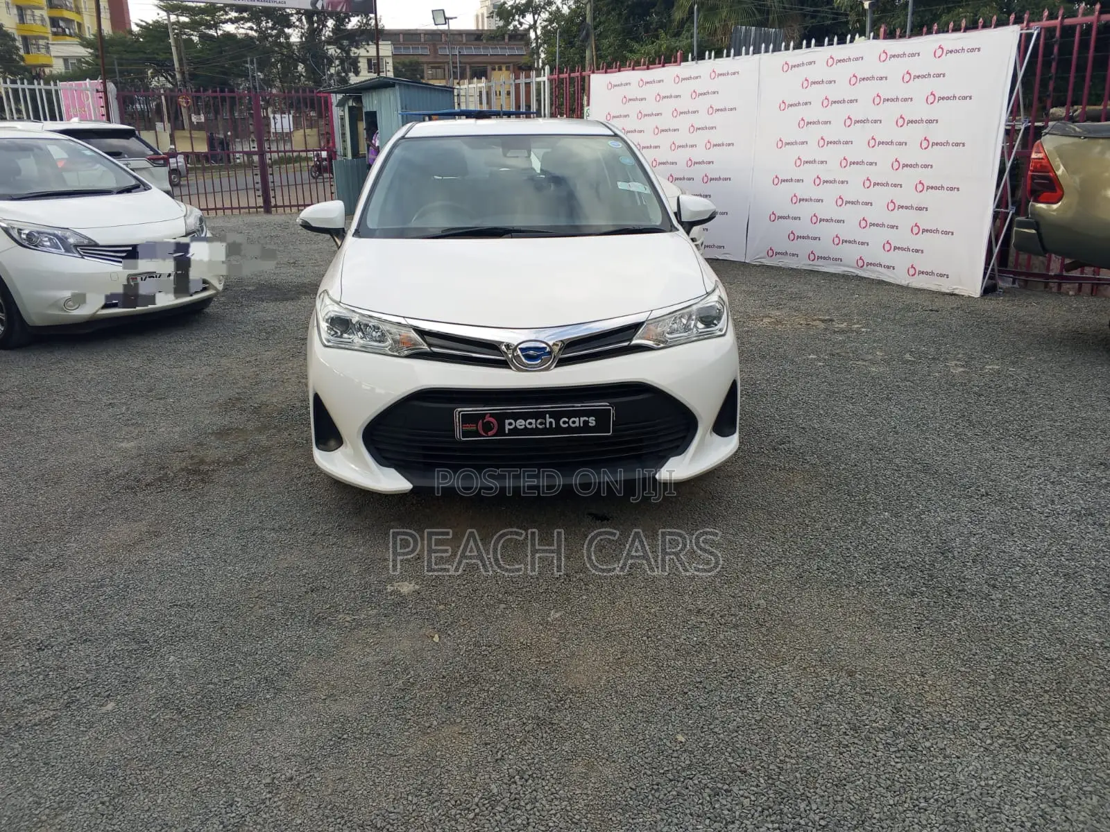 Toyota Corolla Fielder 2019 White