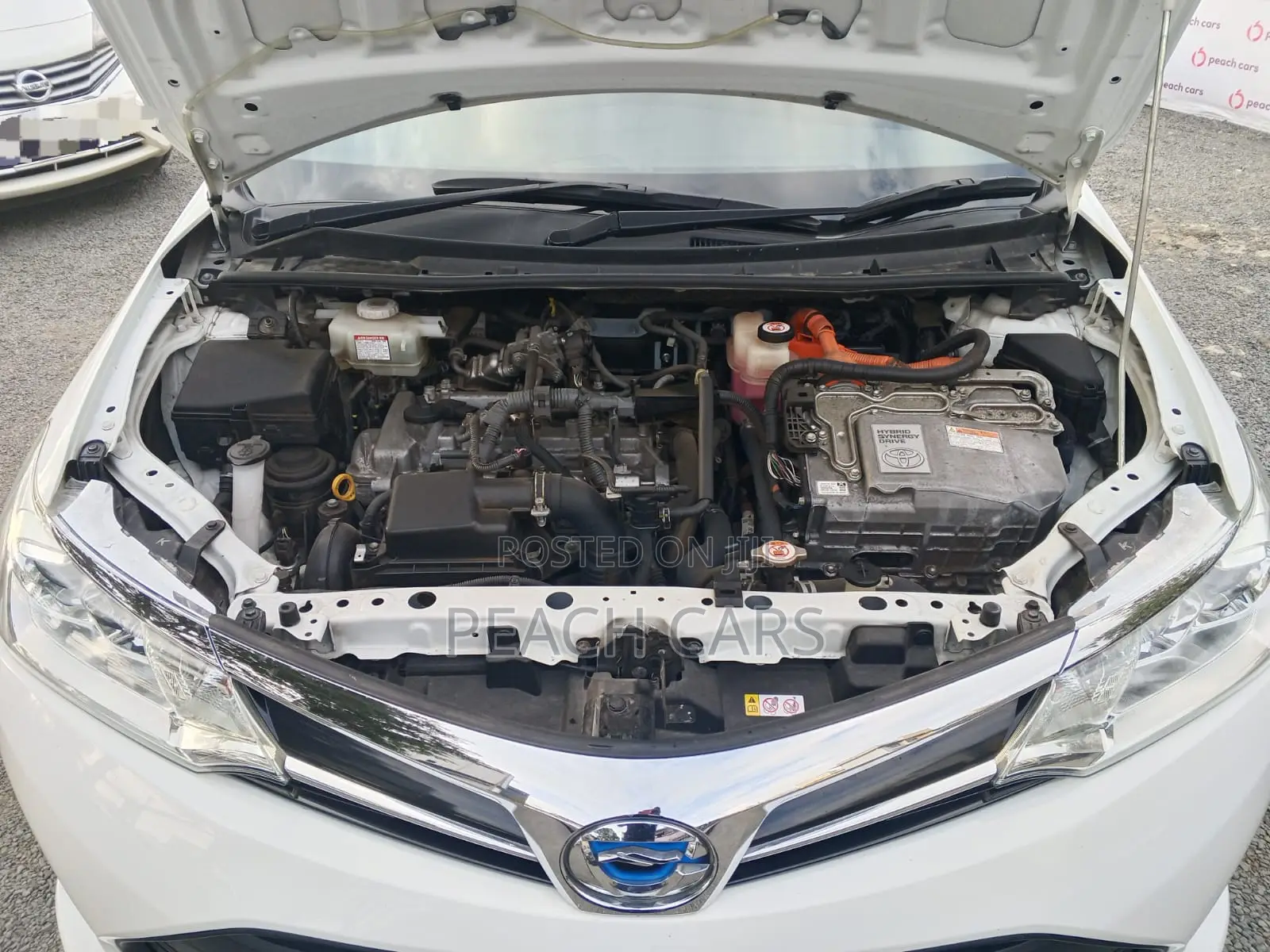 Toyota Corolla Fielder 2019 White