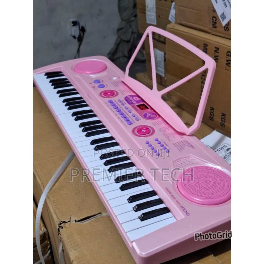 Professional Piano With In Built Battery