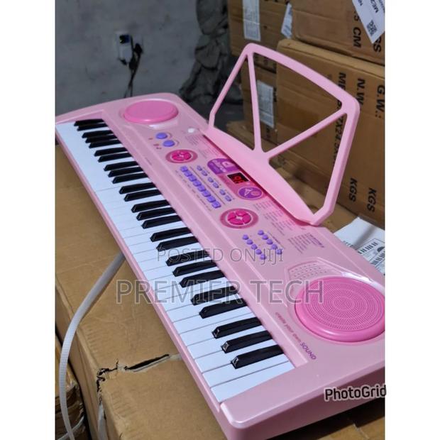 Professional Piano With In Built Battery