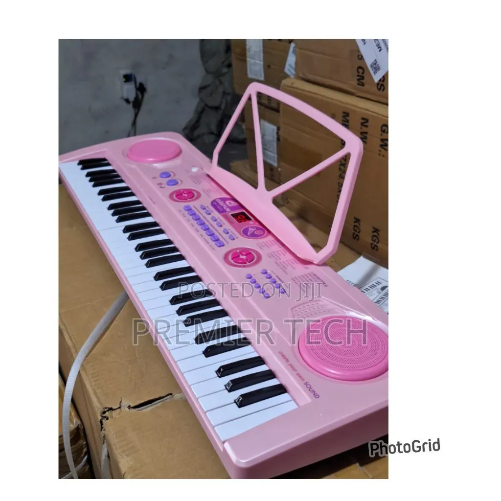 Professional Piano With In Built Battery