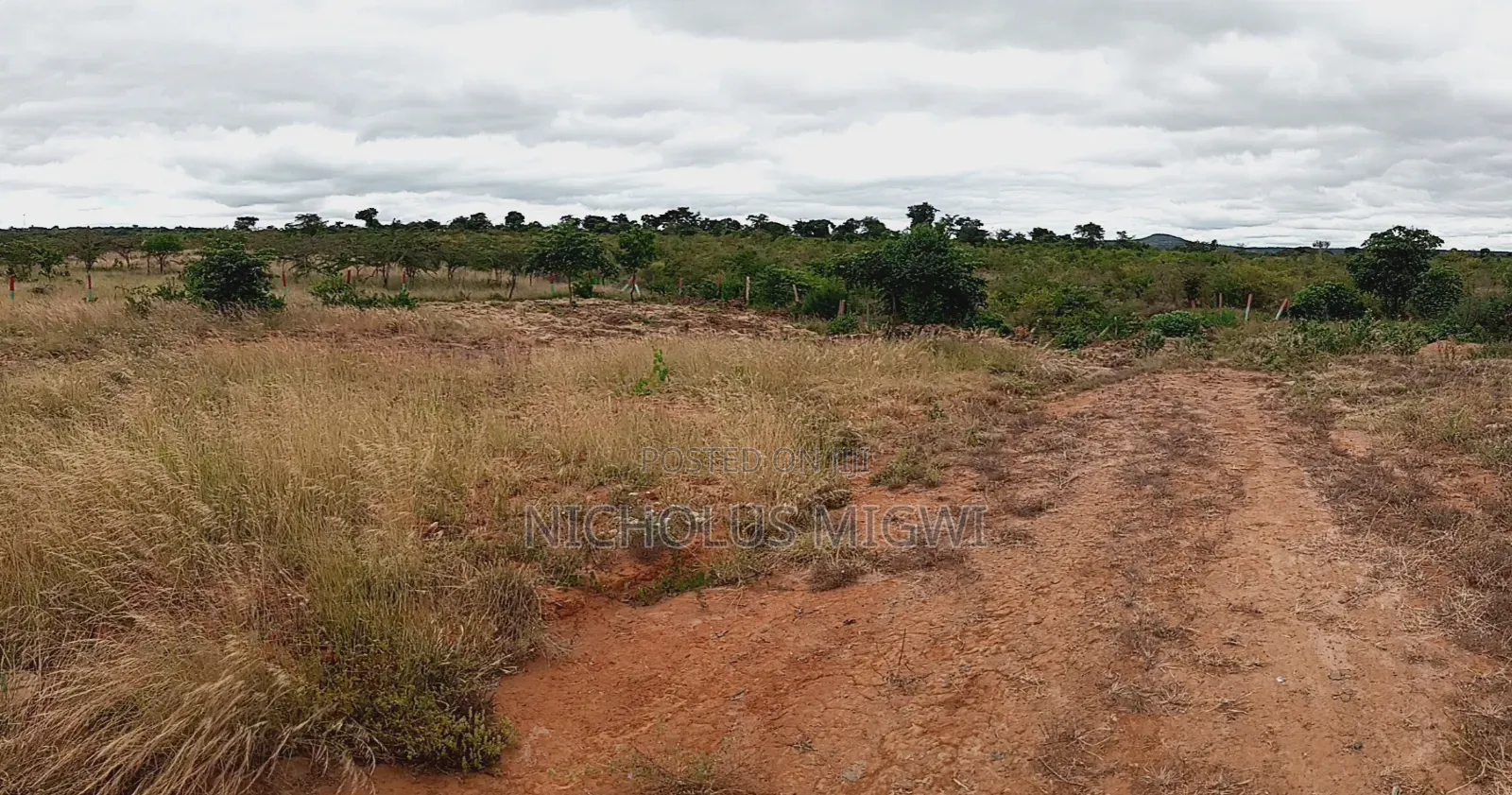 Matuu Plots