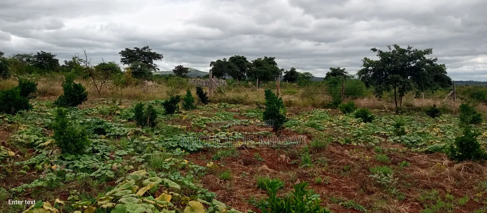 Matuu Plots