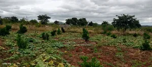 Matuu Plots
