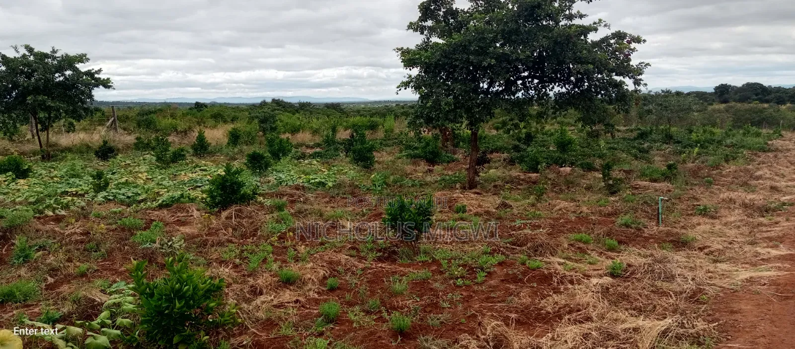 Matuu Plots