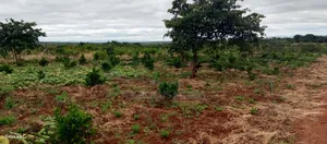 Matuu Plots