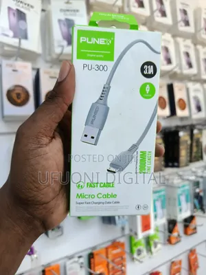 Punex Fast Cable Both Micro and Type C