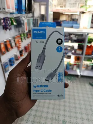 Punex Fast Cable Both Micro and Type C