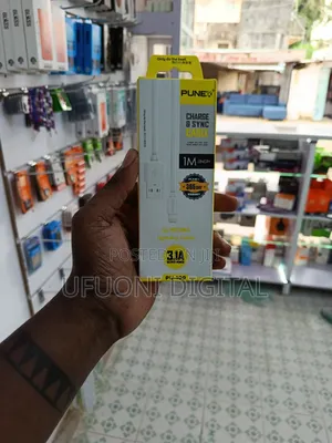 Punex Fast Cable Both Micro and Type C