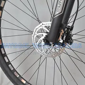Unirox X3 29er Mountain Bike With Disc Brakes