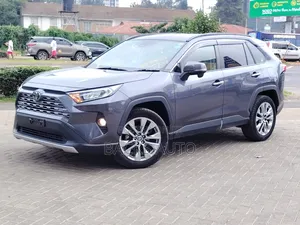 Toyota RAV4 LE AWD 2019 Gray