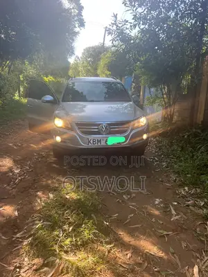 Volkswagen Tiguan 2009 Silver