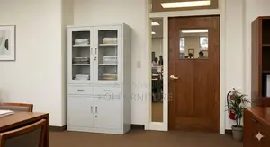 Office Cabinet; Two Doors Executuive Steel Office Cabinet