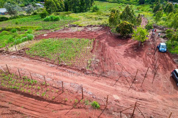 Prime Residential Plot 300m From Tarmac in Kamangu - thumbnail 3