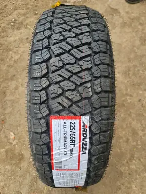 225 /65 R17 Adduzza Tires (All - Tripmaxx) At1