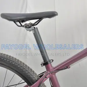 Wild Mountain Bicycle for Men and Women