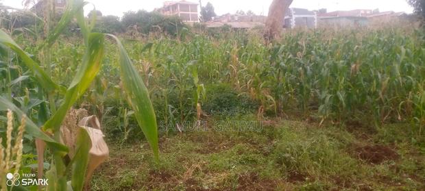 Banana Gachorua 100/100 Plot for Sale - thumbnail 2