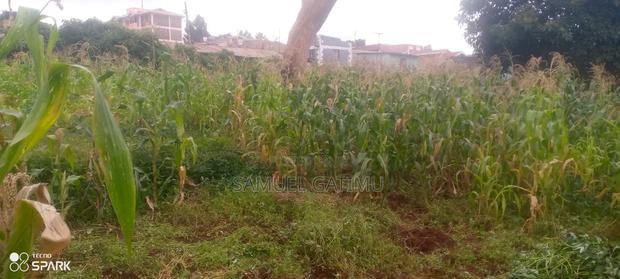 Banana Gachorua 100/100 Plot for Sale - thumbnail 4
