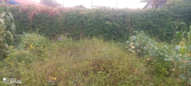 Banana Gachorua 100/100 Plot for Sale - thumbnail 7