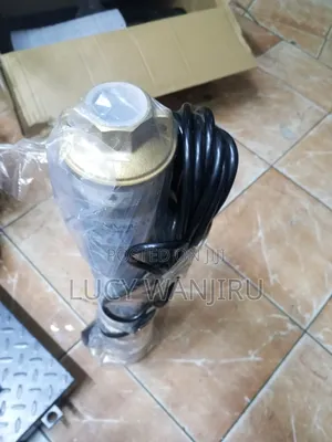 Electric Submersible Pump