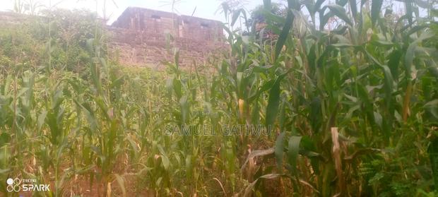 Ndederu 100/100 Plot for Sale