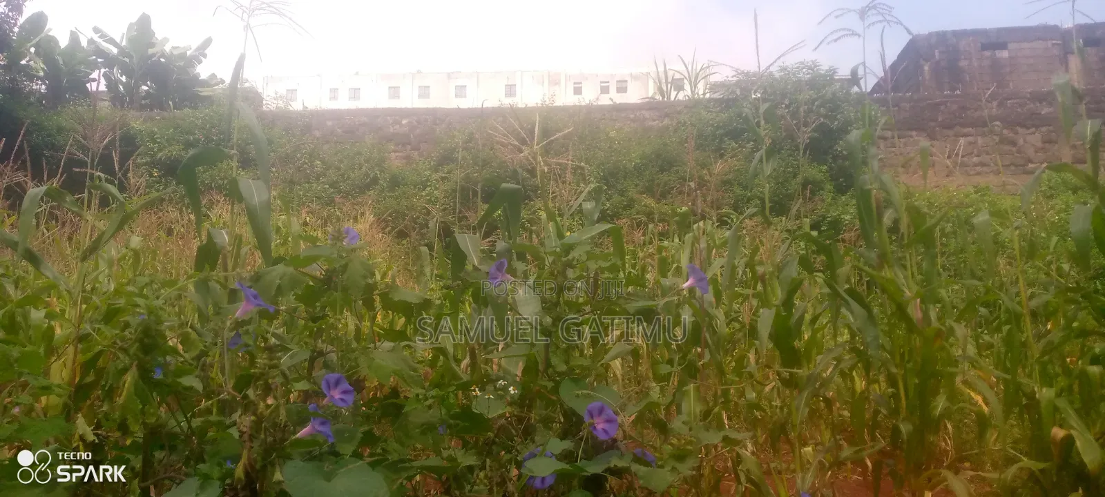 Ndederu 100/100 Plot for Sale