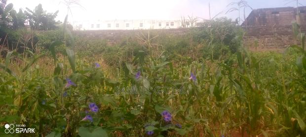 Ndederu 100/100 Plot for Sale - thumbnail 2