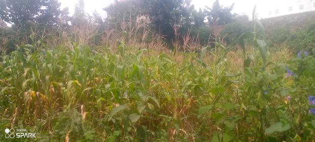 Ndederu 100/100 Plot for Sale - thumbnail 3