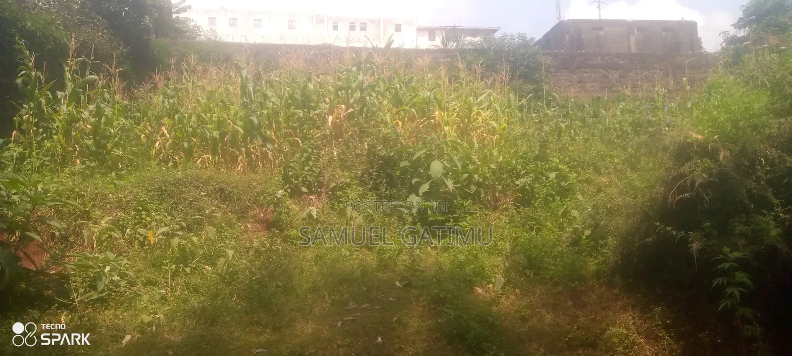 Ndederu 100/100 Plot for Sale
