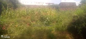 Ndederu 100/100 Plot for Sale