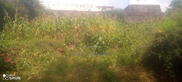 Ndederu 100/100 Plot for Sale - thumbnail 5