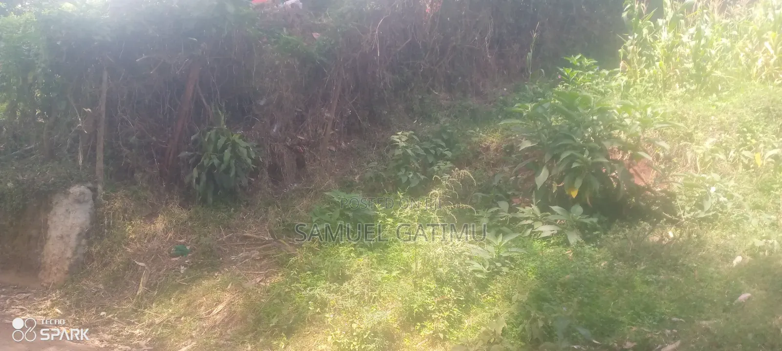 Ndederu 100/100 Plot for Sale