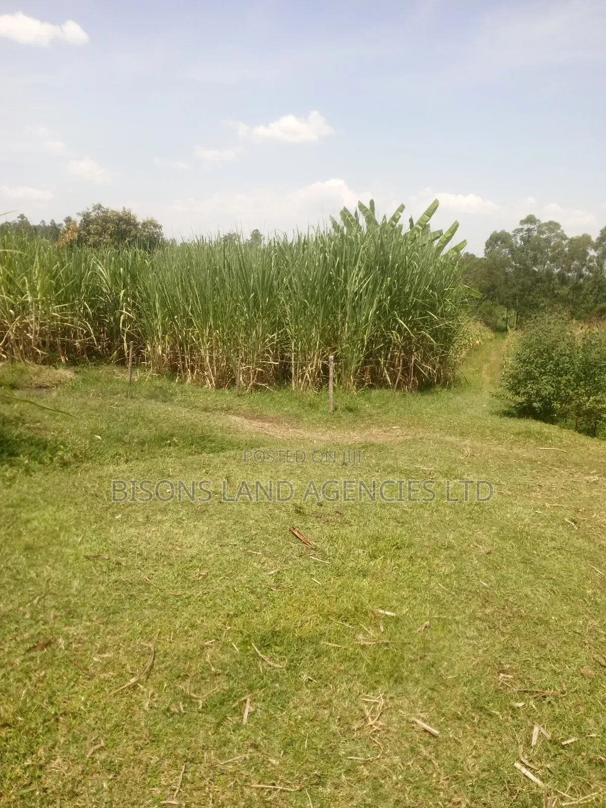Available 11acre Land for Sale in Migori County