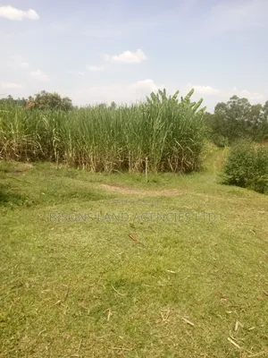 Available 11acre Land for Sale in Migori County