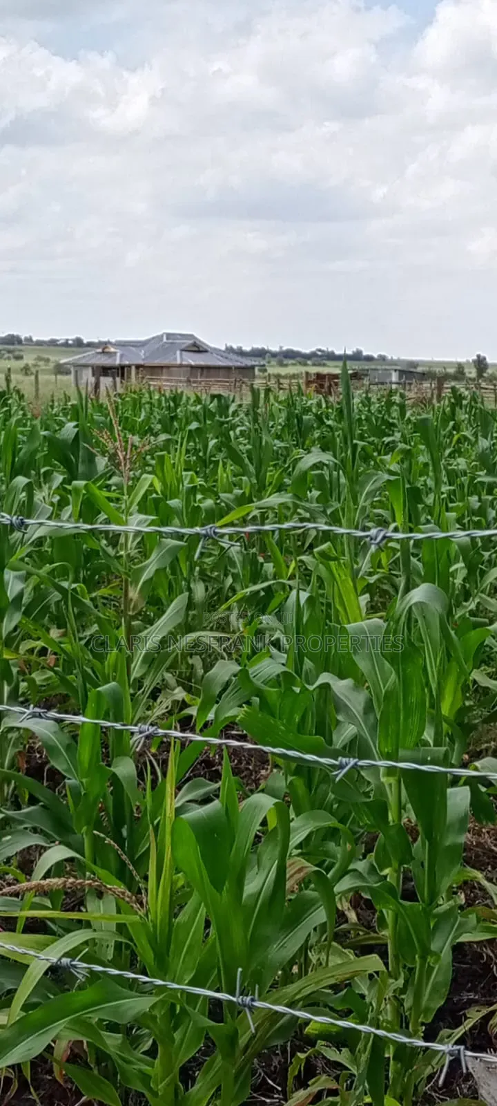 Ready Title 50x100 Isinya Plots At
