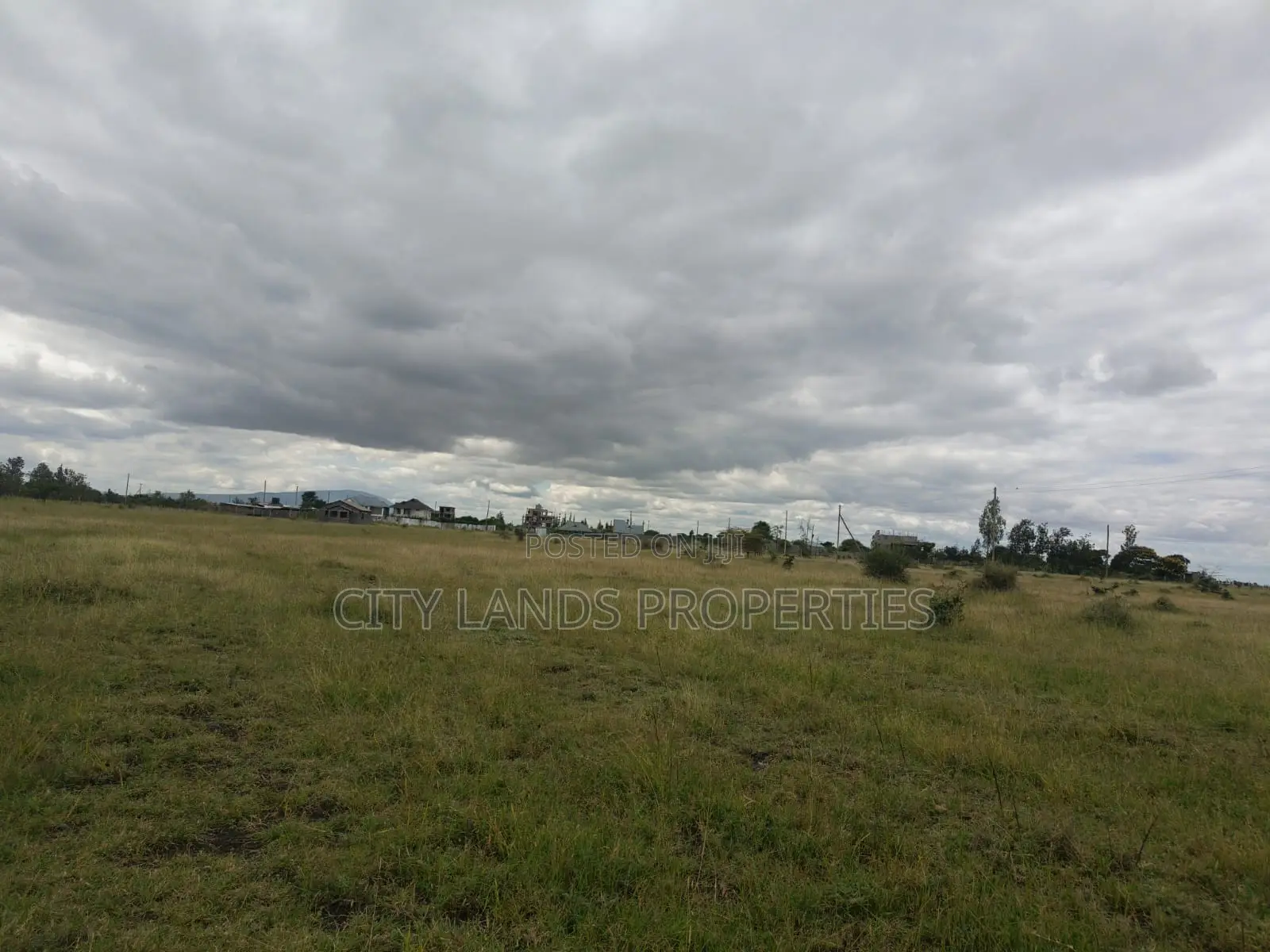 Ruiru Kamakis Mwalimu Farm Land for Sale. 1 Acre