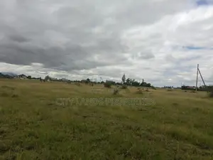 Ruiru Kamakis Mwalimu Farm Land for Sale. 1 Acre