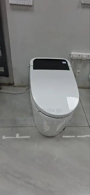 Washing Toilet
