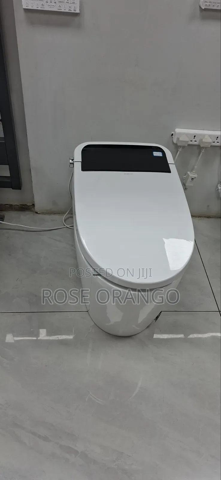 Washing Toilet