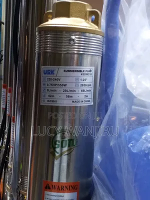 Potential 69l/Min Submersible Pump
