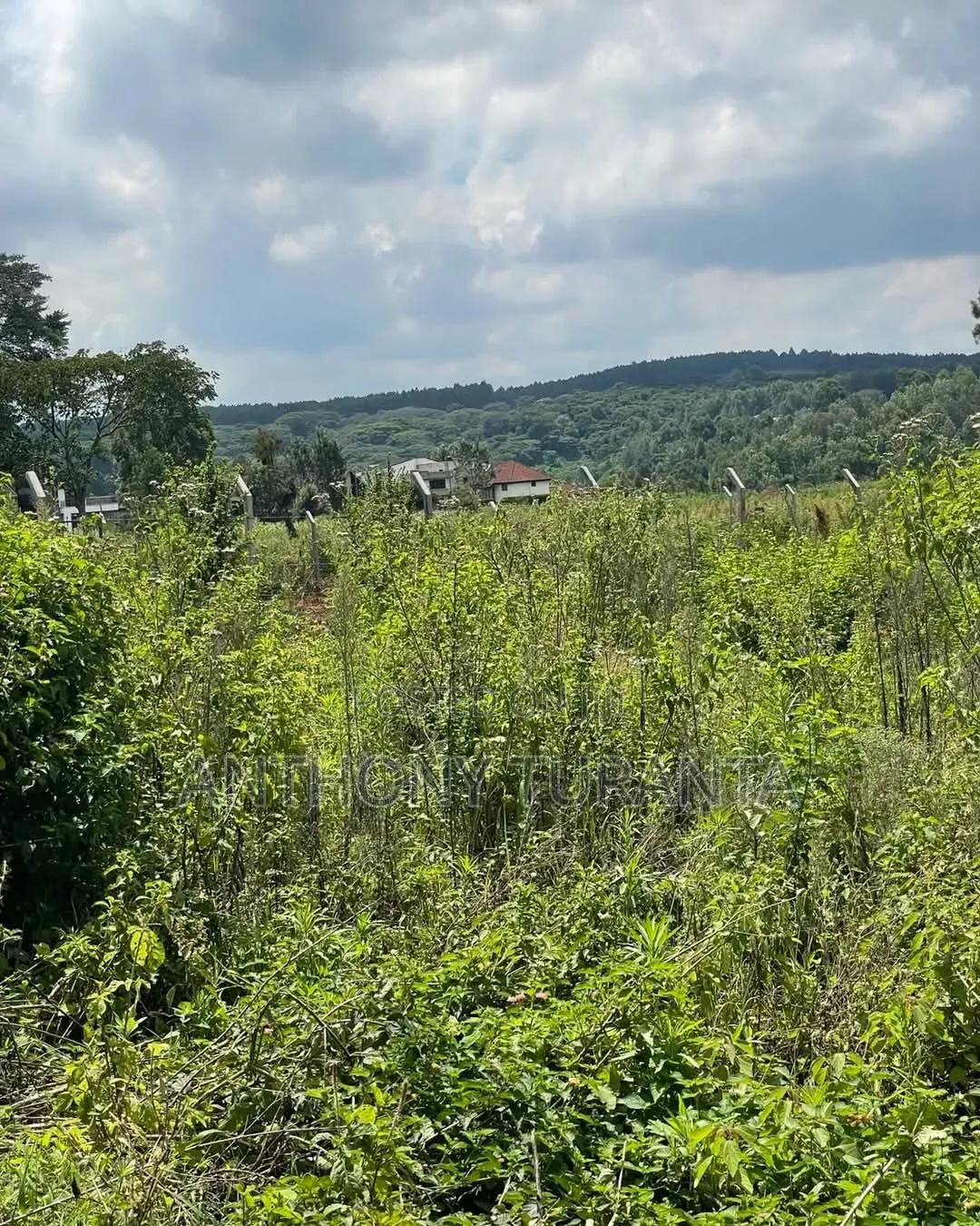 1/8 Plots For Sale