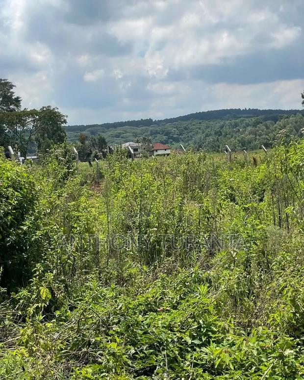 1/8 Plots For Sale - thumbnail 2