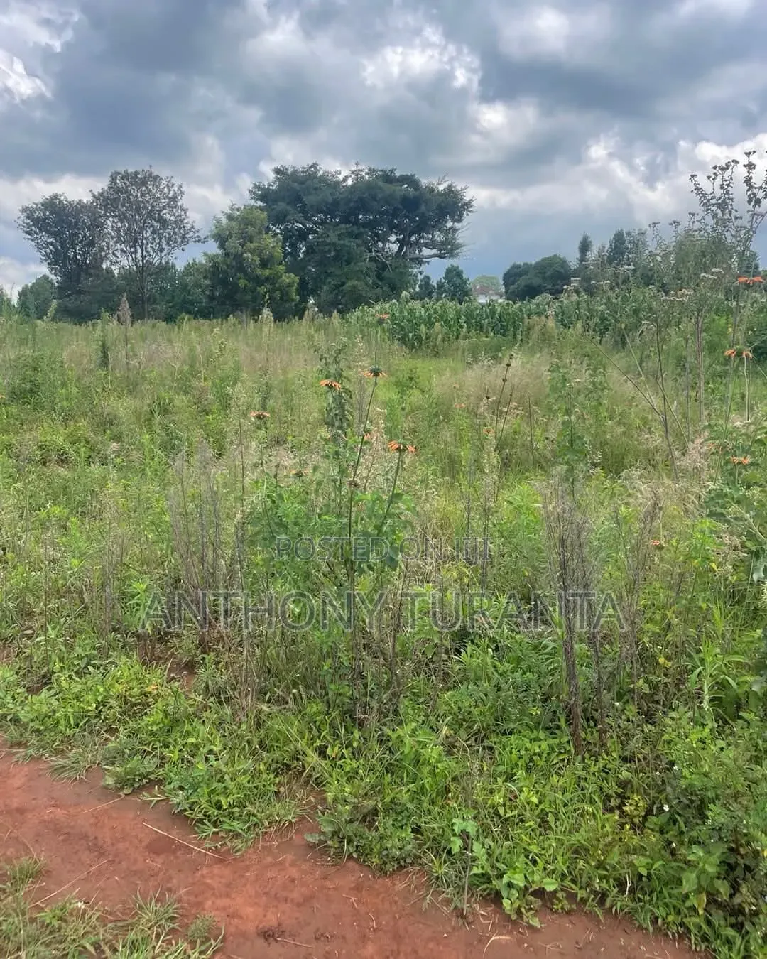 1/8 Plots For Sale